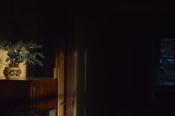 Trada Kasino Podpora